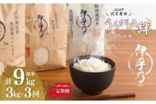 【JGAP認証農場】令和7年産 魚沼産コシヒカリ 特別栽培米「伊乎乃」 精米計9kg（3kg×1袋） 定期便毎月全3回 うちがまき絆【0002-UK10DB00-01】