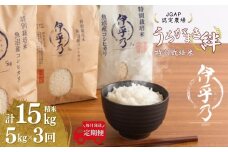 【JGAP認証農場】令和7年産 魚沼産コシヒカリ 特別栽培米「伊乎乃」 精米計15kg（5kg×1袋） 定期便毎月全3回 うちがまき絆【0002-UK11DB00-01】