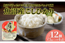 魚沼産こしひかり パックご飯 180g×12個（3パック×4個） たかの【0002-0363-01】