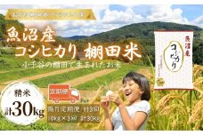 令和7年産 魚沼産コシヒカリ 棚田米 精米30kg（5kg×2袋×3回）定期便 隔月発送 | 新潟県産コシヒカリ お米 米 こしひかり 魚沼産 ブランド米【0002-RC08DB00-01】