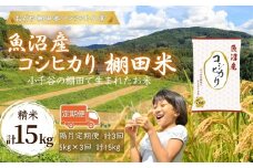 令和7年産 魚沼産コシヒカリ 棚田米 精米15kg（5kg×3回）定期便 隔月発送 | 新潟県産コシヒカリ お米 米 こしひかり 魚沼産 ブランド米【0002-RC04DB00-01】