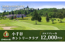 【小千谷カントリークラブ】ゴルフプレー券12,000円(1,000円×12枚) 緑豊かな風景を楽しみながらプレー 小千谷綜合開発 【0044-0004-01】