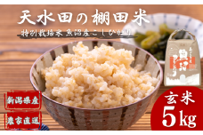 【令和7年産 新米予約】 わかとち産 魚沼コシヒカリ 特別栽培 棚田米 玄米5kg 先行予約 新潟県産 コシヒカリ 玄米 Mt.ファームわかとち【0013-0002-01】