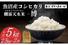 【令和7年産 新米予約】 魚沼産コシヒカリ 精米5kg(2.5kg×2袋) ※2025年10月中旬頃から発送開始 白米 新潟県産 コシヒカリ 岩沢アチコタネーゼ 【0008-0002-01】
