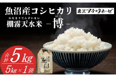 【令和7年産 新米予約】 魚沼産コシヒカリ 精米5kg(5kg×1袋) ※2025年10月中旬頃から発送開始 岩沢アチコタネーゼ | 新潟県産 コシヒカリ お米 米 おこめ こめ コメ 精米 白米 魚沼産 ブランド米【0008-0002-01】