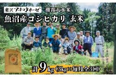 【3か月定期便(毎月発送)】 令和7年産新米 魚沼産コシヒカリ 玄米3kg(3kg×1袋)×全3回 ※2025年10月中旬頃から発送開始 岩沢アチコタネーゼ 【0008-0003DB00-01】