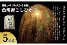 【令和7年産 新米予約】魚沼産コシヒカリ5kg 世界一の四尺玉の町片貝町からお届け 白米 魚沼産 新潟県産 精米 米萬商店 | 新潟県産 コシヒカリ お米 米 おこめ こめ コメ こしひかり 魚沼産 ブランド米【0002-KM01-01】