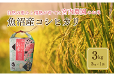 令和7年産 魚沼産コシヒカリ3kg×1袋 宮内農園 | 2025年9月下旬頃から発送 新潟県産 コシヒカリ お米 米 おこめ こめ コメ こしひかり 白米 精米 魚沼産 ブランド米【0002-MN01-01】