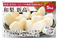 【2024年】「天果糖逸（てんかとういつ）」新潟県産和梨 新高 約5kg（5～7玉）《10月上旬～配送予定》 にいたか 果物 フルーツ 冬の味覚 産地直送 加茂市 えちご中越農業協同組合