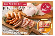 山長ハムギフトセット（YA-5）詰め合わせ【2種2パック入り】 《ロースハムブロック650g、ベーコンブロック250g》【お歳暮などの贈り物に】    国産豚使用 ハム ベーコン ブロック肉 豚肉 ソーセージ 様々なレシピに大活躍！ 手作り 燻製 粗挽き 加茂 山長ハム