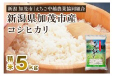 【令和5年産米】新潟産コシヒカリ なんかん育ち「こしひかり米」精米5kg 白米 七谷産 特別栽培米 えちご中越農業協同組合