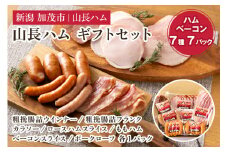 山長ハムギフトセット（YA-9）詰め合わせ 【7種7パック入り】《ロースハム75g、ベーコン70g、ももハム145g、ポークローフ240g、粗挽ウインナー120g、粗挽フランク160g、カラソー100g》【お歳暮などの贈り物に】    国産豚使用 ハム ベーコン ブロック肉 豚肉 ソーセージ 様々なレシピに大活躍！ 手作り 燻製 粗挽き 加茂 山長ハム