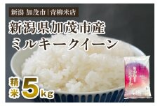 【令和6年産米】新潟県央地区 ミルキークイーン 精米5kg 新潟米 新潟産 お米  白米 加茂市 青柳米店