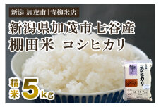 【令和6年産米】新潟産コシヒカリ 加茂市七谷産 棚田米 精米5kg 白米 真空パック 青柳米店