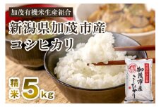 【令和7年産新米先行予約】新潟県加茂市産コシヒカリ 精米5kg 《10月中旬から順次出荷 》 白米 加茂有機米生産組合