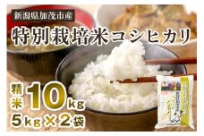 【令和7年産新米先行予約】新潟県加茂市産 特別栽培米コシヒカリ 精米10kg（5kg×2） 《10月中旬から順次出荷》 白米 従来品種コシヒカリ 加茂有機米生産組合