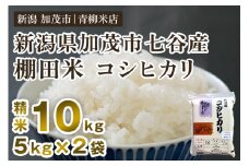 【令和6年産米】新潟産コシヒカリ 加茂市七谷産 棚田米 精米10kg（5kg×2）白米 真空パック 青柳米店