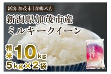 【令和6年産米】新潟県央地区 ミルキークイーン 精米10kg（5kg×2）新潟米 新潟産 お米 白米 加茂市 青柳米店