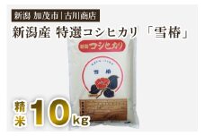【令和6年産米】新潟県産 特選コシヒカリ「雪椿」精米10kg 白米 加茂市 お米の専門店 古川商店
