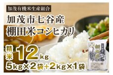 【令和7年産新米先行予約】新潟県加茂市 七谷産 棚田米コシヒカリ 精米12kg（5kg×2＋2kg×1）《10月中旬から順次出荷》白米 加茂有機米生産組合