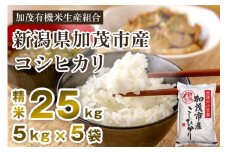 【令和7年産新米先行予約】新潟県加茂市産コシヒカリ 精米25kg（5kg×5） 《10月中旬から順次出荷 》 白米 加茂有機米生産組合