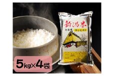 【令和5年産米】新潟県加茂市七谷産コシヒカリ 精米20kg（5kg×4）白米 坪幸商店