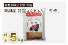 【令和6年産米】新潟県産 特選コシヒカリ「雪椿」精米5kg 白米 加茂市 お米の専門店 古川商店