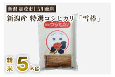 【令和6年産米】新潟県産 特選コシヒカリ「雪椿」精米5kg 白米 加茂市 お米の専門店 古川商店