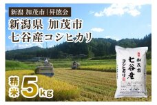 【令和6年産米】新潟県加茂市 七谷産コシヒカリ 精米5kg 白米 高柳地域産数量限定 昇徳会