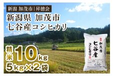 【令和6年産米】新潟県加茂市 七谷産コシヒカリ 精米10kg（5kg×2） 白米 高柳地域産数量限定 昇徳会
