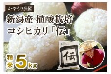 【令和7年産新米】新潟産コシヒカリ「伝」白米真空パック 精米5kg 《9月下旬～順次出荷》 南麻布の高級料亭で提供される極上米 かやもり農園