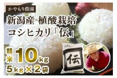 【令和6年産米】新潟産コシヒカリ「伝」白米真空パック 精米10kg（5kg×2）南麻布の高級料亭で提供される極上米 かやもり農園