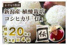 【令和6年産米】新潟産コシヒカリ「伝」白米真空パック 精米20kg（5kg×4）南麻布の高級料亭で提供される極上米 かやもり農園