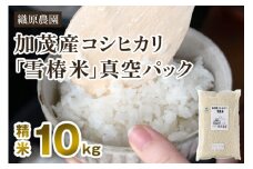 【令和6年産米】新潟産コシヒカリ「雪椿米」特別栽培米 精米10kg （5kg×2袋）白米真空パック 従来品種コシヒカリ 加茂市 織原農園