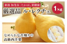 【2025年先行予約】 たかはし果樹園 謹製 新潟特産 幻の洋梨ル・レクチェ 厳選品 約1kg 《11月下旬以降配送》 果物 フルーツギフト 冬の味覚 産地直送加茂市 たかはし果樹園
