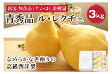 【2025年先行予約】 たかはし果樹園 謹製 新潟特産 幻の洋梨ル・レクチェ 青秀品 約3kg 《11月下旬以降配送》 果物 フルーツギフト 冬の味覚 産地直送加茂市 たかはし果樹園