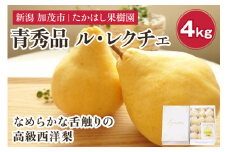 【2025年先行予約】 たかはし果樹園 謹製 新潟特産 幻の洋梨ル・レクチェ 青秀品 約4kg 《11月下旬以降配送》 果物 フルーツギフト 冬の味覚 産地直送加茂市 たかはし果樹園