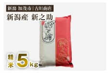 【令和6年産米】新潟の新ブランド米「新之助」精米5kg 白米 大粒 加茂市 お米の専門店 古川商店