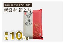 【令和6年産米】新潟の新ブランド米「新之助」精米10kg （5kg×2）白米 大粒 加茂市 お米の専門店 古川商店