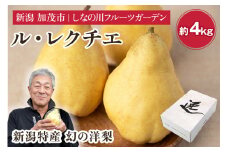 【2024年】新潟特産 幻の洋梨 ル・レクチェ 【赤秀品】 約4kg （9～12個） 《11月下旬～お届け》 果物 フルーツギフト 冬の味覚 産地直送 加茂市 山伴しなの川フルーツガーデン