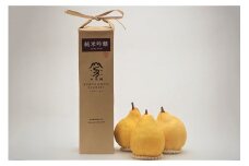地酒「加茂錦米袋純米吟醸720ml」と西洋梨「ル・レクチェ1kg」セット 樋口農園《11月下旬から順次発送》 日本酒とフルーツの詰め合わせ 純米吟醸酒 ナシ 果物 贈答 加茂市 マルダイ有本