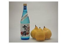 地酒「越乃雪椿（雪椿酵母仕込）720ml」と新潟特産 幻の洋梨「ル・レクチェ]1kgセット 雪椿酒造 樋口農園《11月下旬から順次発送》 日本酒とフルーツの詰め合わせ 純米吟醸酒 ナシ 果物 贈答 加茂市 マルダイ有本