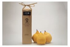 地酒「加茂錦米袋大吟醸720ml」と西洋梨「ル・レクチェ1kg」セット樋口農園《11月下旬から順次発送》 日本酒とフルーツの詰め合わせ 大吟醸酒 ナシ 果物 贈答 加茂市 マルダイ有本