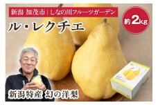 【2024年】新潟特産 幻の洋梨 ル・レクチェ 【青秀品】 約2kg 《11月下旬～お届け》 果物 フルーツギフト 冬の味覚 産地直送 加茂市 山伴しなの川フルーツガーデン