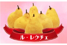 新潟特産 幻の洋梨ル・レクチェ 特選品 約2kg （5～7玉）《11月下旬から順次発送》 果物 フルーツギフト 冬の味覚 産地直送 加茂市 樋口農園 マルダイ有本