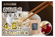 【令和6年産米】[発芽玄米] 新潟産 発芽玄米4.8kg（600g×8袋）新潟米 新潟県産 かやもり農園