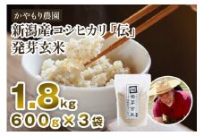 【令和6年産米】[発芽玄米] 新潟産コシヒカリ「伝」発芽玄米1.8kg（600g×3袋）かやもり農園