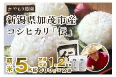 【令和6年産米】新潟産コシヒカリ「伝」精米5kgと発芽玄米1.2kg（600g×2）セット かやもり農園