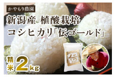 【令和6年産米】新潟産コシヒカリ「伝ゴールド」白米真空パック 精米2kg 南麻布の高級料亭で提供される極上米 かやもり農園