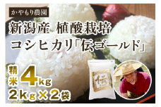 【令和6年産米】新潟産コシヒカリ「伝ゴールド」白米真空パック 精米4kg（2kg×2）南麻布の高級料亭で提供される極上米 かやもり農園
